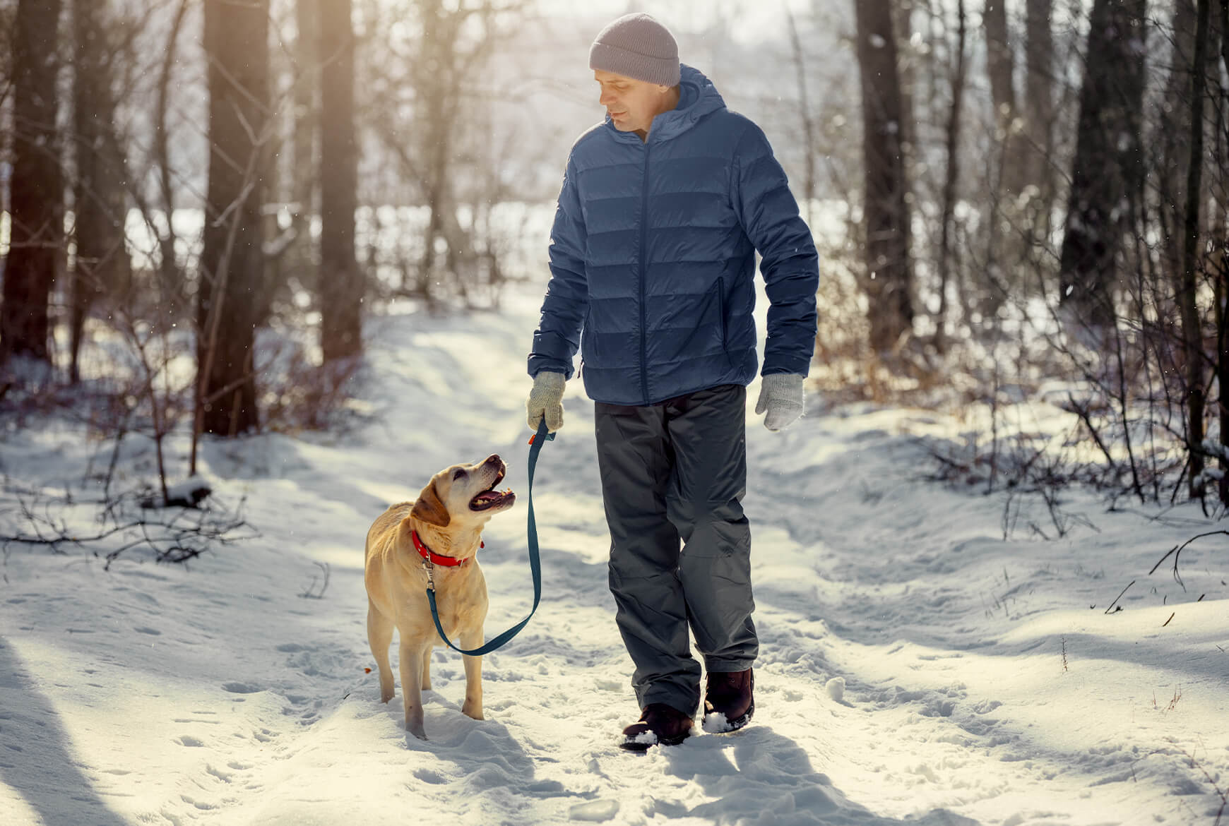 Un homme marche dans le bois avec un chien