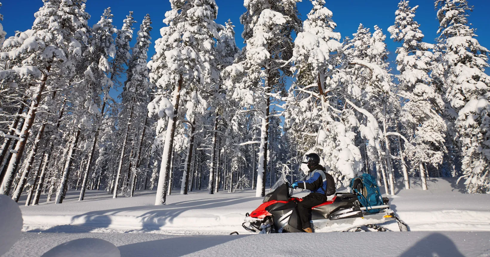 Une personne conduit une motoneige dans un boisé