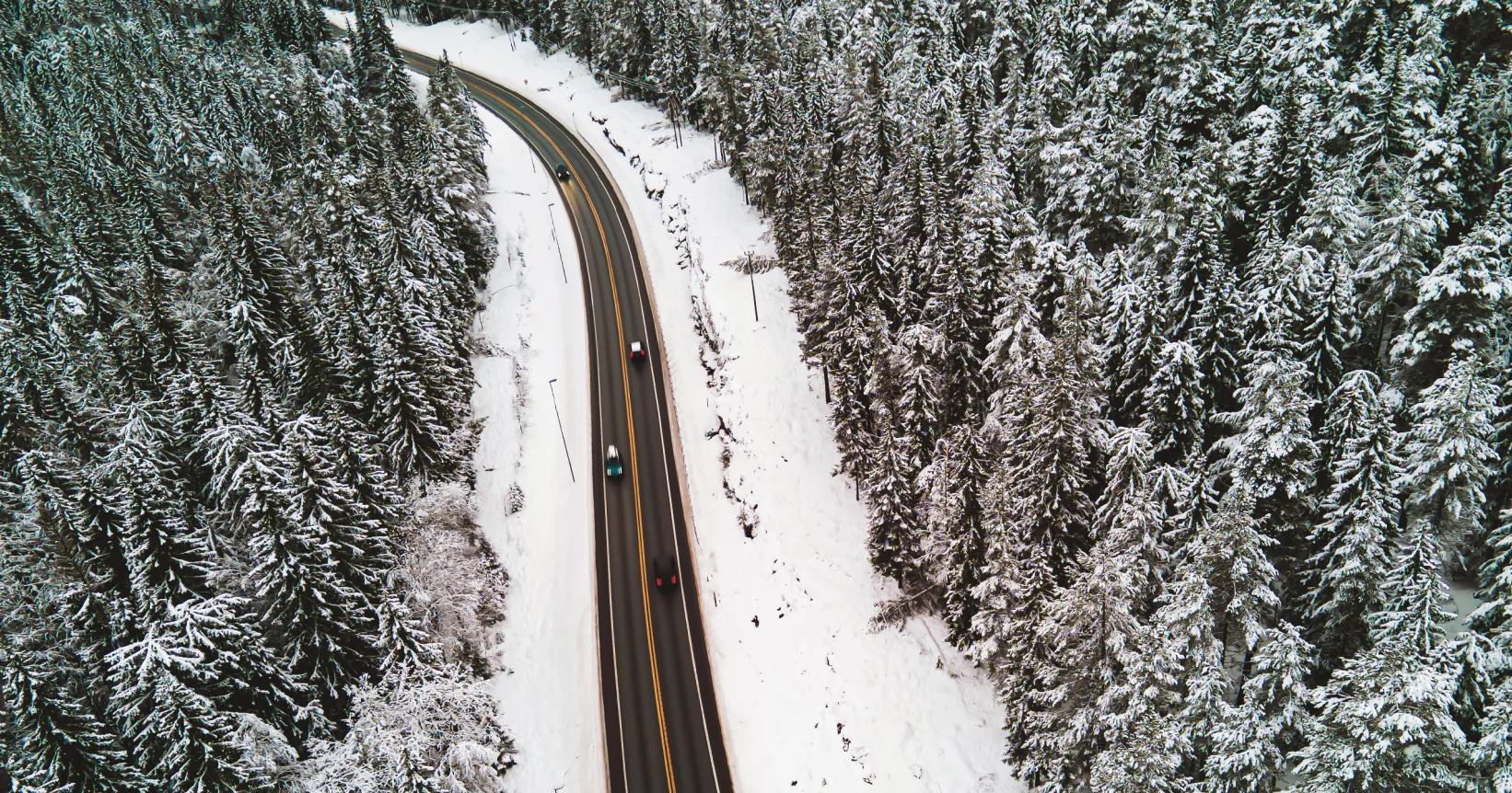 Une route bordée de neige