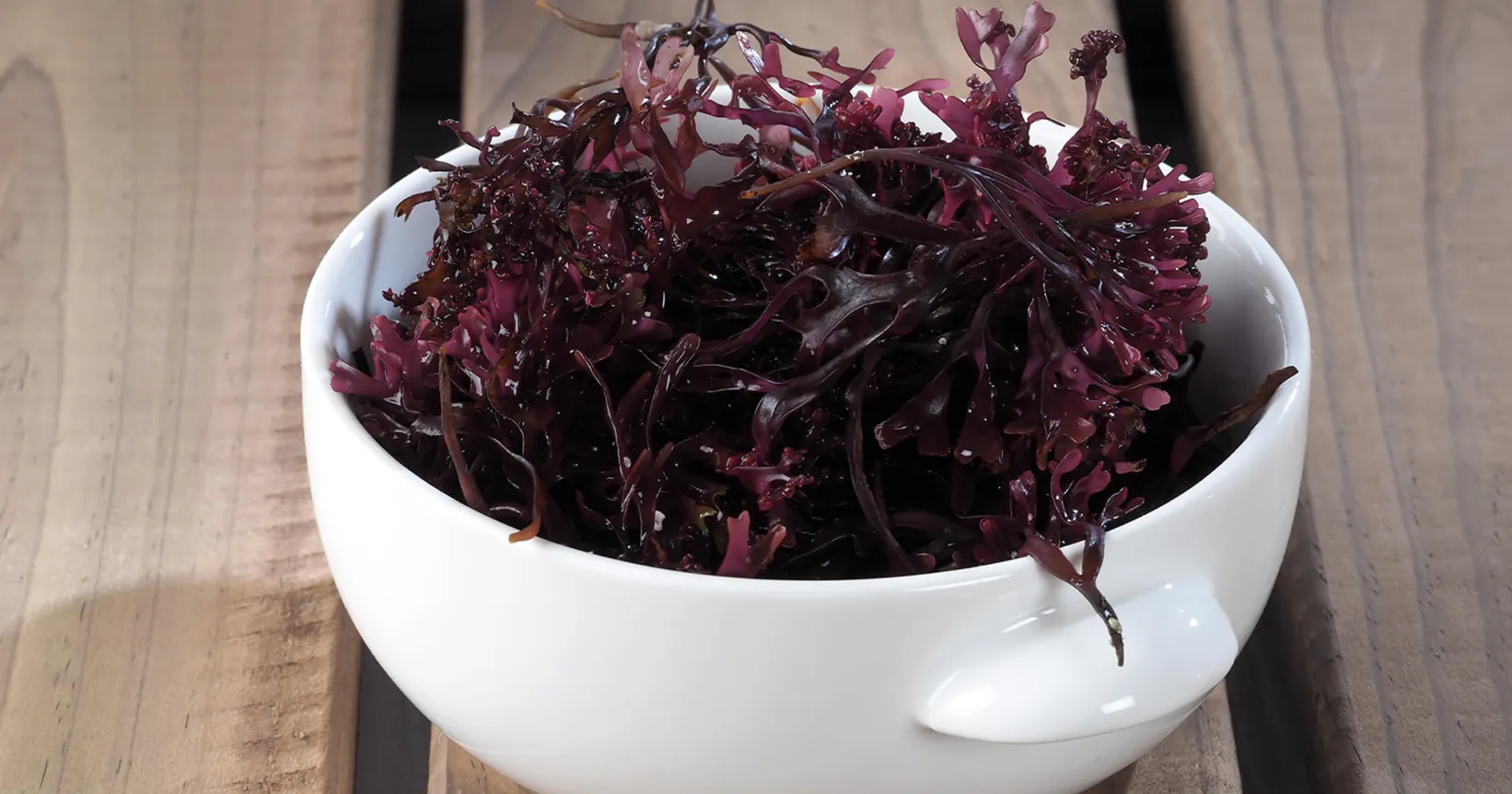 Un bol de mousse de mer