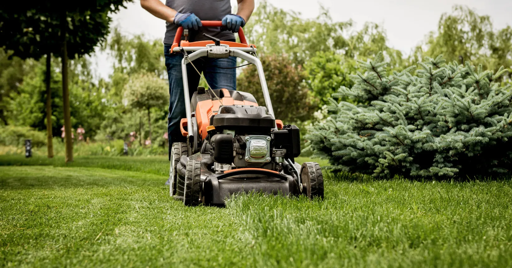 Quelqu'un tond son gazon