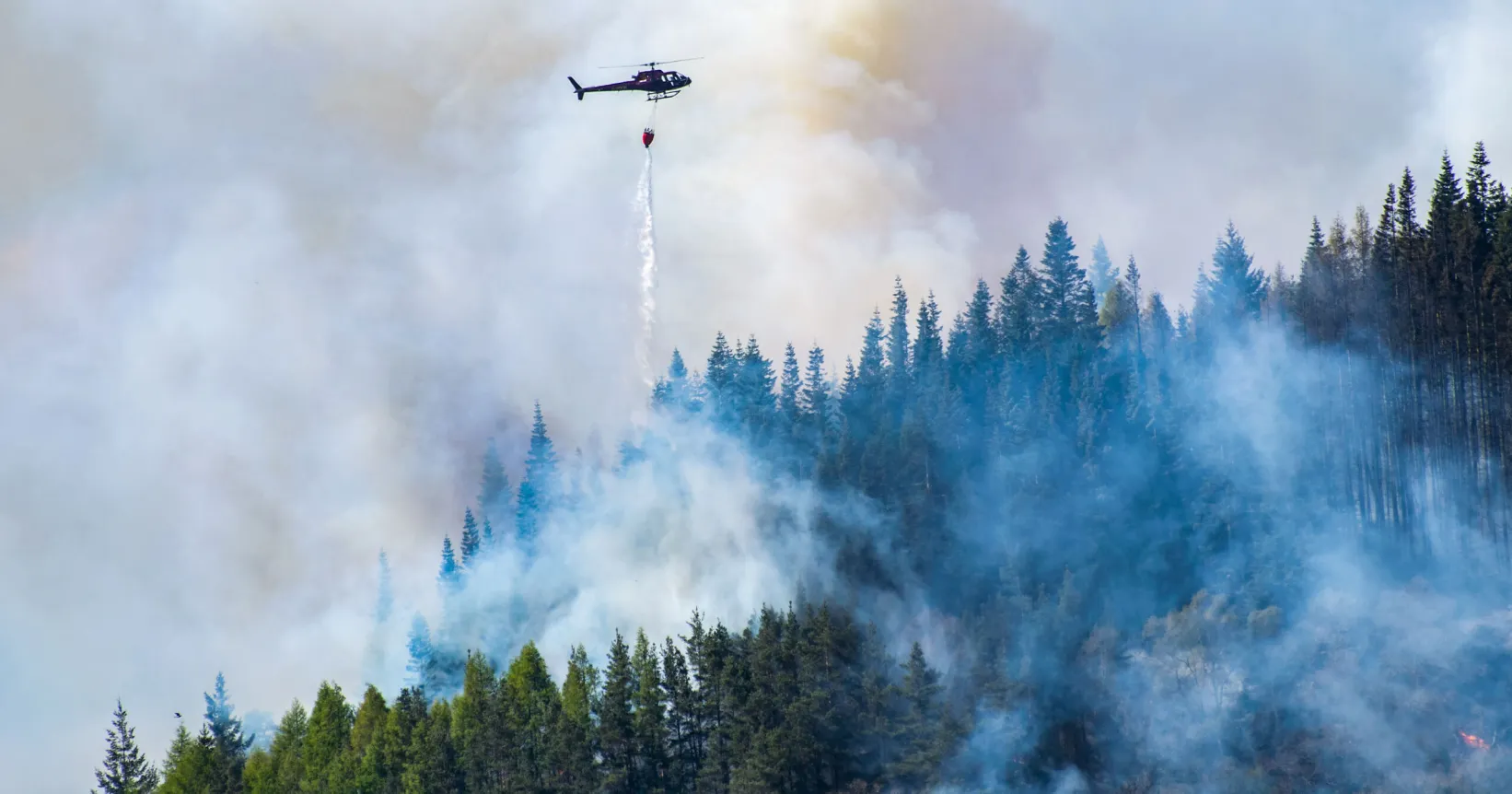 Un hélicoptère éteint un feu de forêt