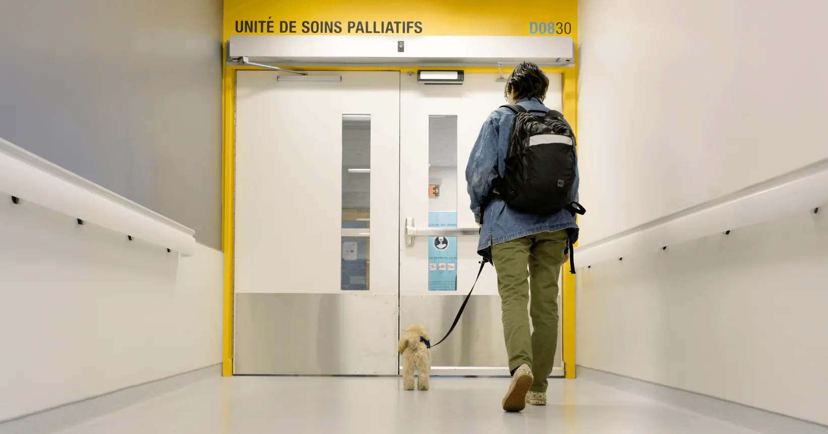 Une personne et un chien dans un hôpital