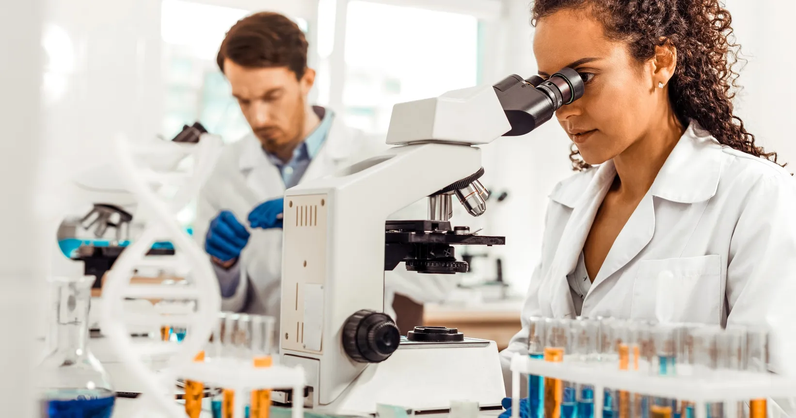 Deux personnes regardent dans des microscopes