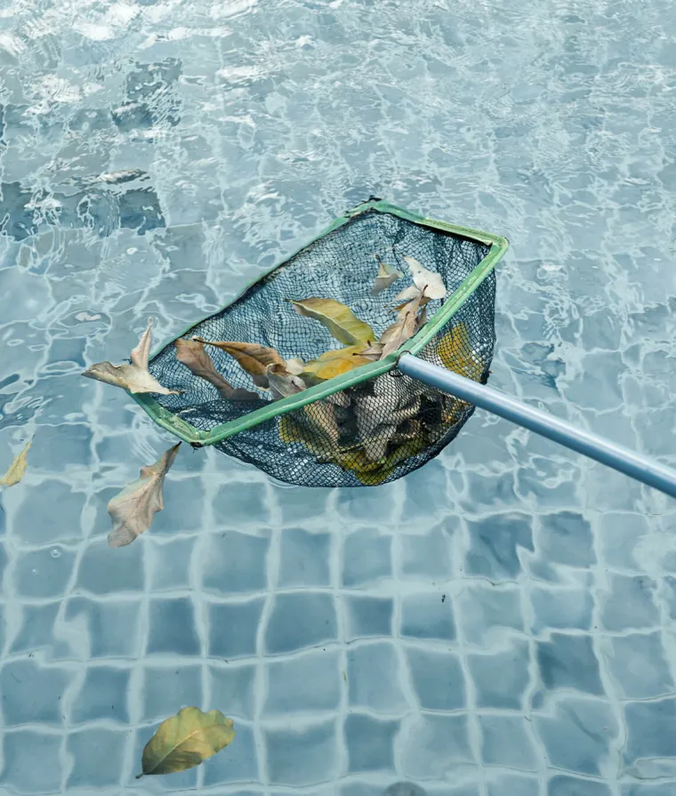 Filet de nettoyage qui ramasse les feuilles dans une piscine.
