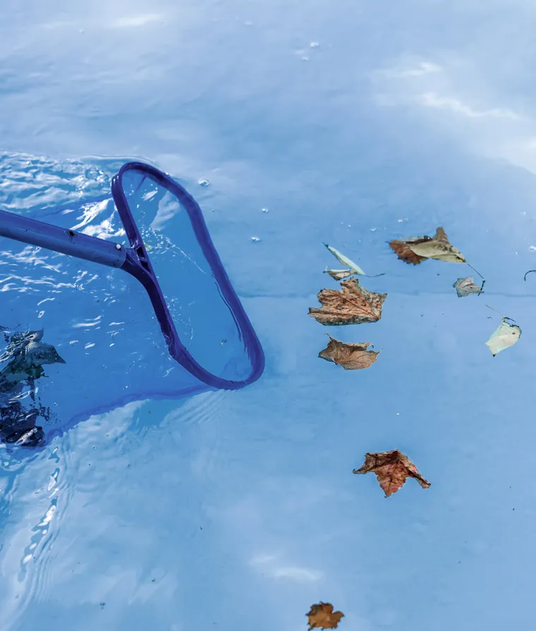 Quelqu'un retire les feuilles d'une piscine avec un filet