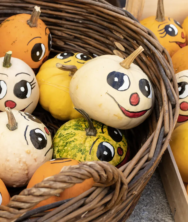 Panier de petites citrouilles