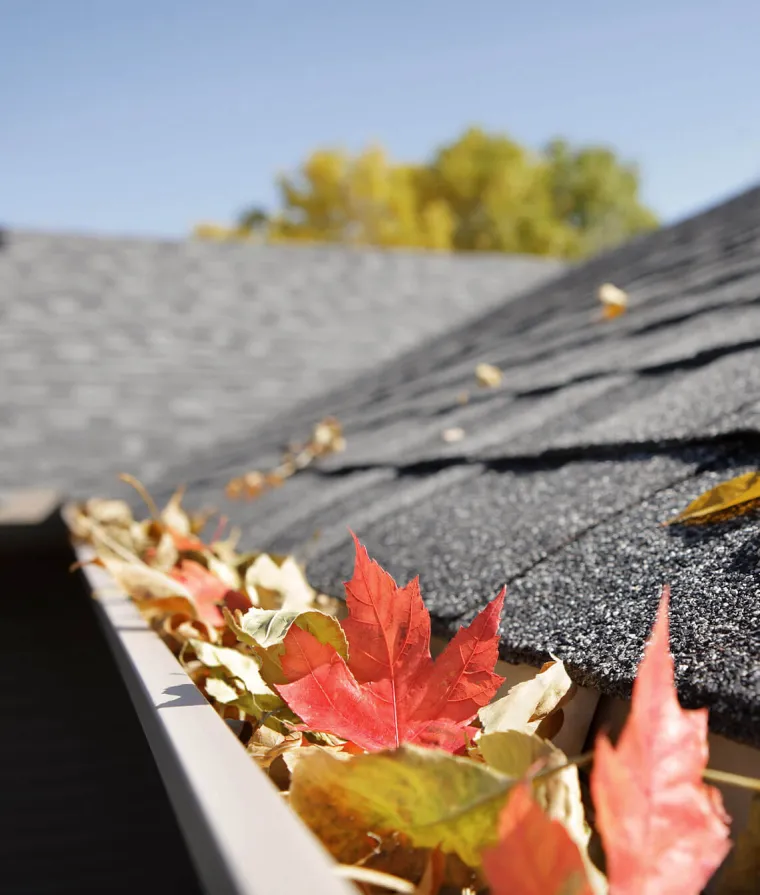 Des gouttières remplies de feuilles d'arbres