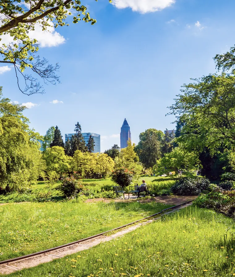 Parc urbain avec arbres, sentier et immeubles en arrière-plan